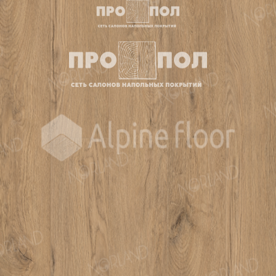Norland Vakre Brit 1022-5
