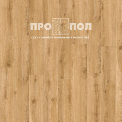 ADELAR Solida Easy 04270 European Oak