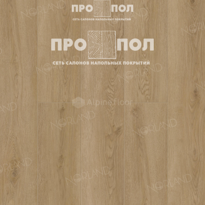 Norland RETT 1001-21