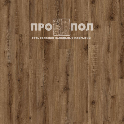 ADELAR Solida Acoustic 04870 European Oak