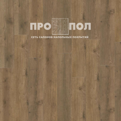 ADELAR Eterna Easy 05855 Major Oak