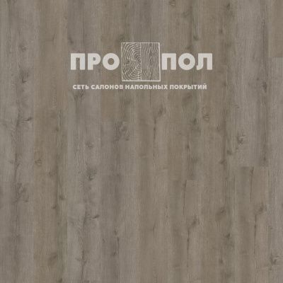 ADELAR Eterna Acoustic 05929 Major Oak