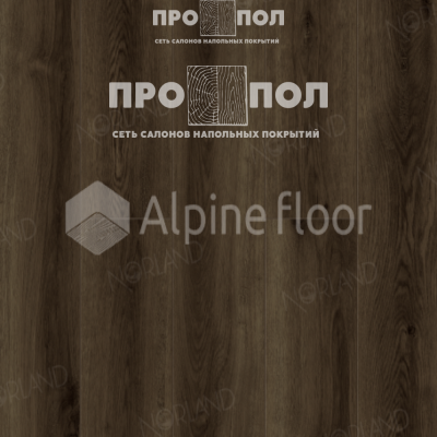 Norland Vakre Gran 1022-7