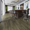 Home Expert Natural 0-005 Дуб Древний лес градиент