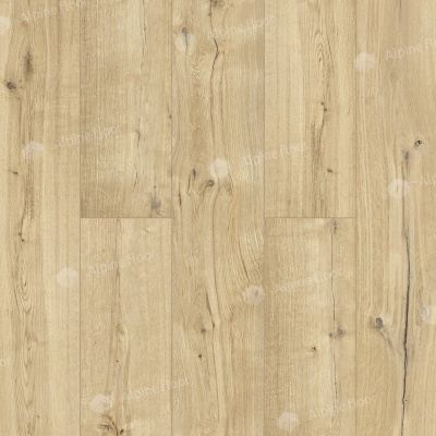 Alpine Floor Дуб Эмпуриабрава LF103-06